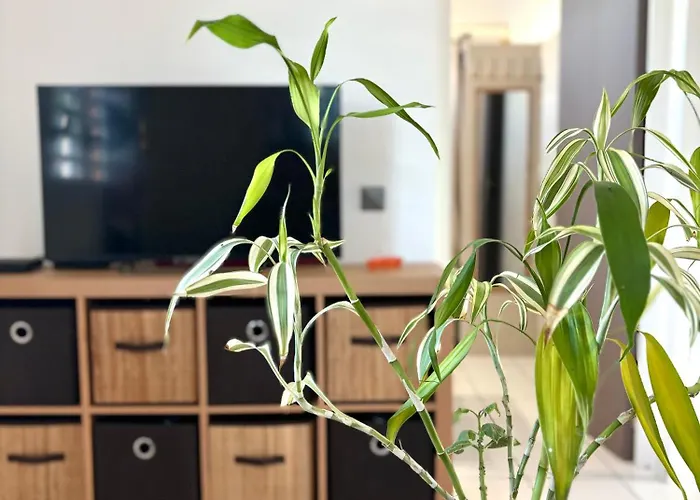 Le Gîte Ohana - Proches des plages et jardin privé